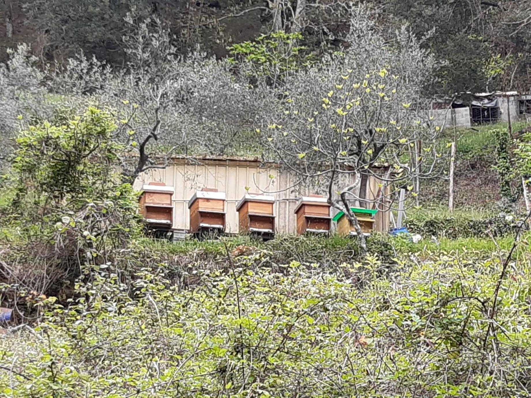 La Valle Fiorita Soviore Exterior foto